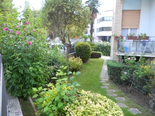Giardinaggio Macerata, Giardiniere a Macerata, Manutenzione del verde macerata, Potatura alberi Macerata, Impresa di giardinaggio a Macerata